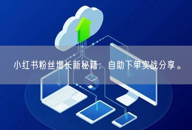 小红书粉丝增长新秘籍：自助下单实战分享。