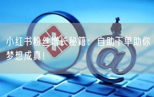 小红书粉丝增长秘籍：自助下单助你梦想成真！