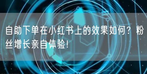 自助下单在小红书上的效果如何？粉丝增长亲自体验！