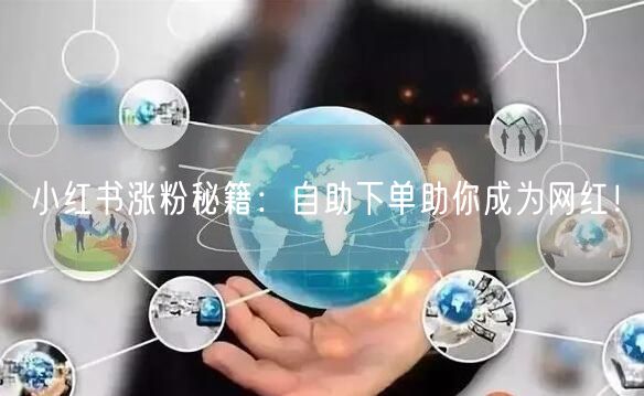 小红书涨粉秘籍：自助下单助你成为网红！