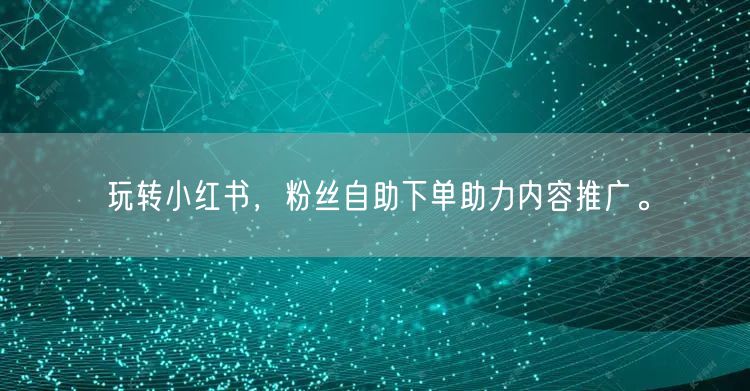 玩转小红书，粉丝自助下单助力内容推广。