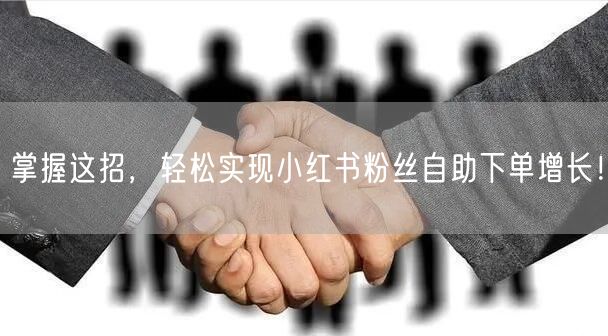 掌握这招，轻松实现小红书粉丝自助下单增长！
