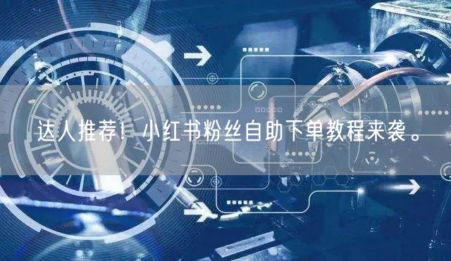 达人推荐！小红书粉丝自助下单教程来袭。
