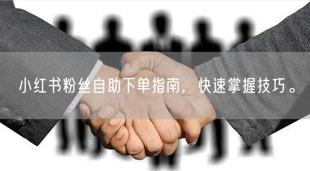 小红书粉丝自助下单指南，快速掌握技巧。