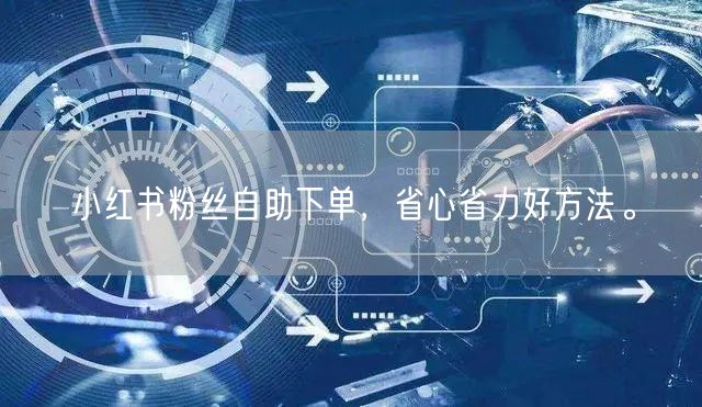 小红书粉丝自助下单，省心省力好方法。