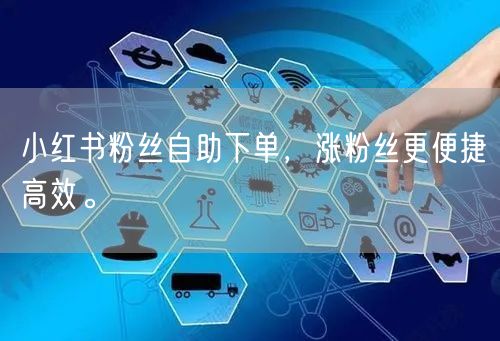 小红书粉丝自助下单，涨粉丝更便捷高效。