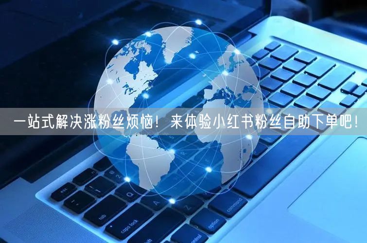 一站式解决涨粉丝烦恼！来体验小红书粉丝自助下单吧！