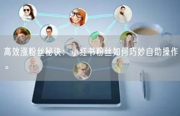 高效涨粉丝秘诀：小红书粉丝如何巧妙自助操作。