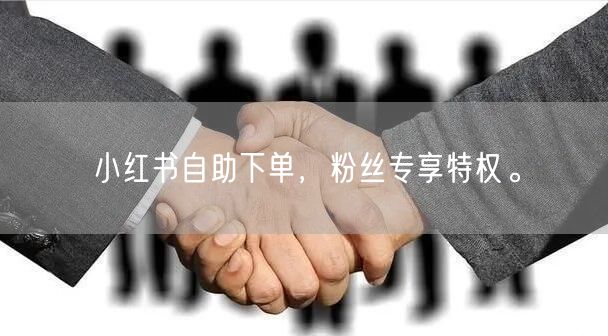 小红书自助下单，粉丝专享特权。