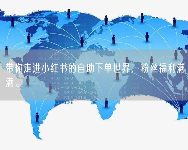 带你走进小红书的自助下单世界，粉丝福利满满。