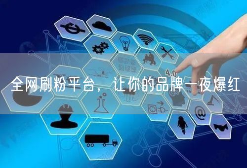 全网刷粉平台，让你的品牌一夜爆红