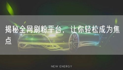 揭秘全网刷粉平台，让你轻松成为焦点