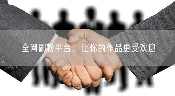 全网刷粉平台，让你的作品更受欢迎
