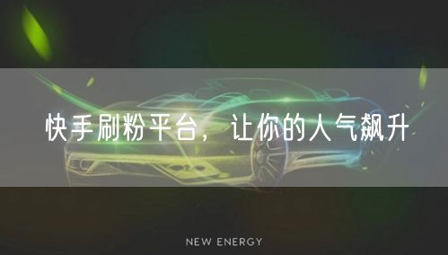 快手刷粉平台，让你的人气飙升