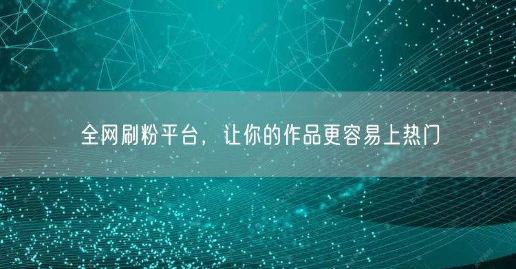 全网刷粉平台，让你的作品更容易上热门