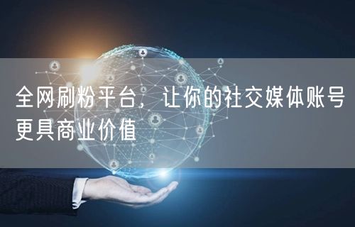 全网刷粉平台，让你的社交媒体账号更具商业价值