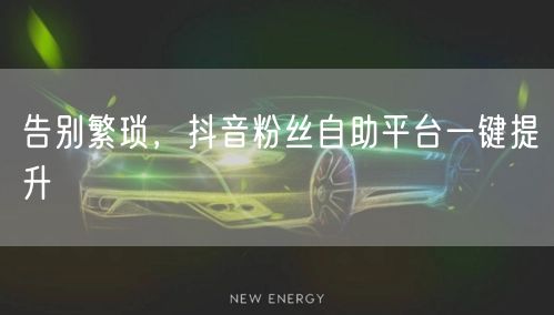 告别繁琐，抖音粉丝自助平台一键提升