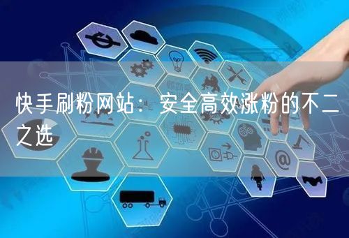 快手刷粉网站：安全高效涨粉的不二之选