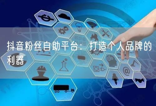 抖音粉丝自助平台：打造个人品牌的利器