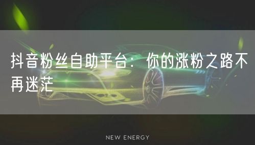 抖音粉丝自助平台：你的涨粉之路不再迷茫