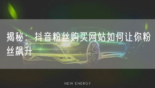 揭秘：抖音粉丝购买网站如何让你粉丝飙升