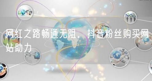 网红之路畅通无阻，抖音粉丝购买网站助力