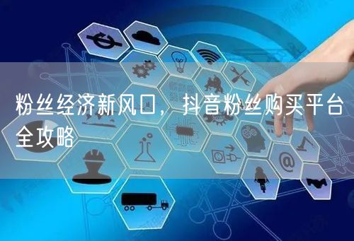 粉丝经济新风口，抖音粉丝购买平台全攻略