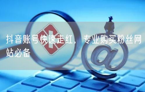 抖音账号快速走红，专业购买粉丝网站必备
