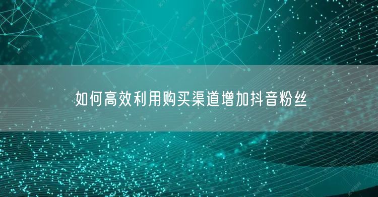 如何高效利用购买渠道增加抖音粉丝