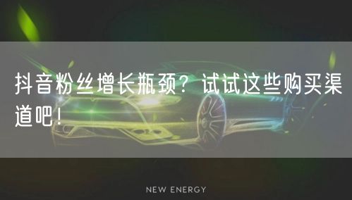 抖音粉丝增长瓶颈？试试这些购买渠道吧！
