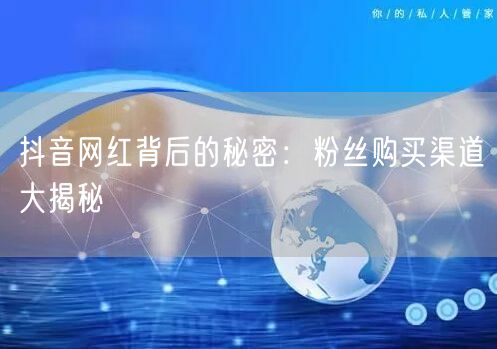 抖音网红背后的秘密：粉丝购买渠道大揭秘