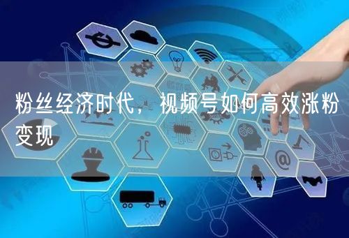 粉丝经济时代，视频号如何高效涨粉变现