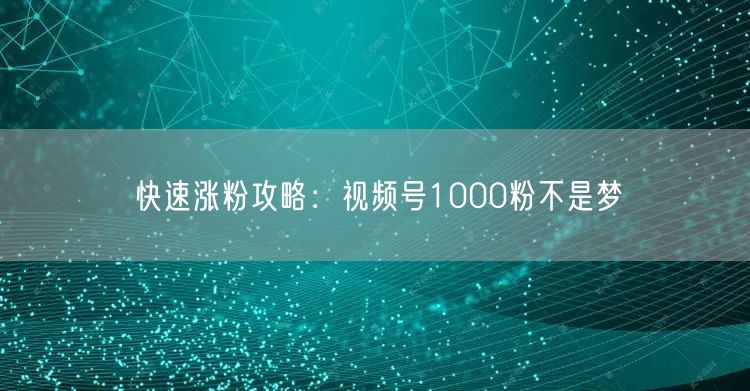 快速涨粉攻略：视频号1000粉不是梦