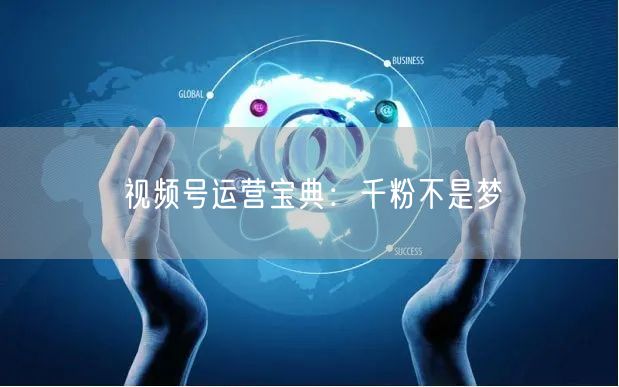 视频号运营宝典：千粉不是梦
