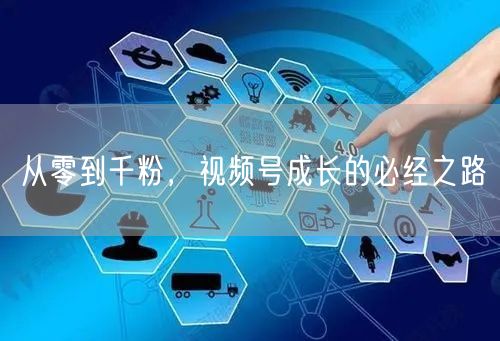 从零到千粉，视频号成长的必经之路