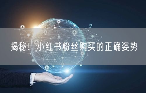 揭秘！小红书粉丝购买的正确姿势