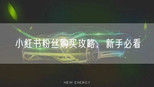 小红书粉丝购买攻略，新手必看