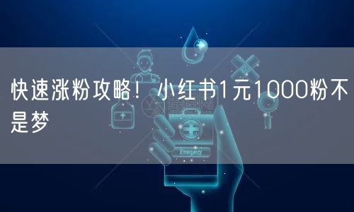 快速涨粉攻略！小红书1元1000粉不是梦