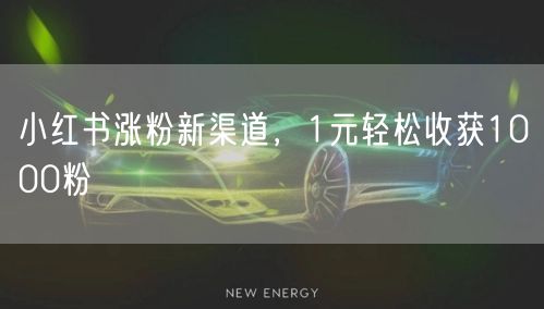 小红书涨粉新渠道，1元轻松收获1000粉