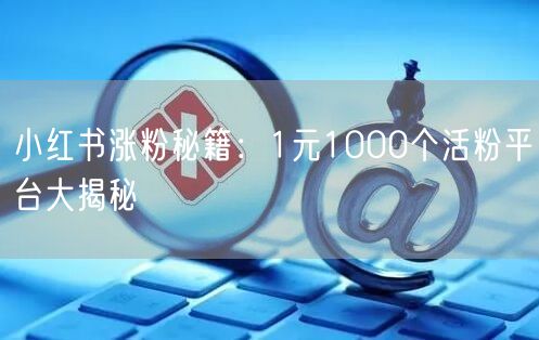 小红书涨粉秘籍：1元1000个活粉平台大揭秘