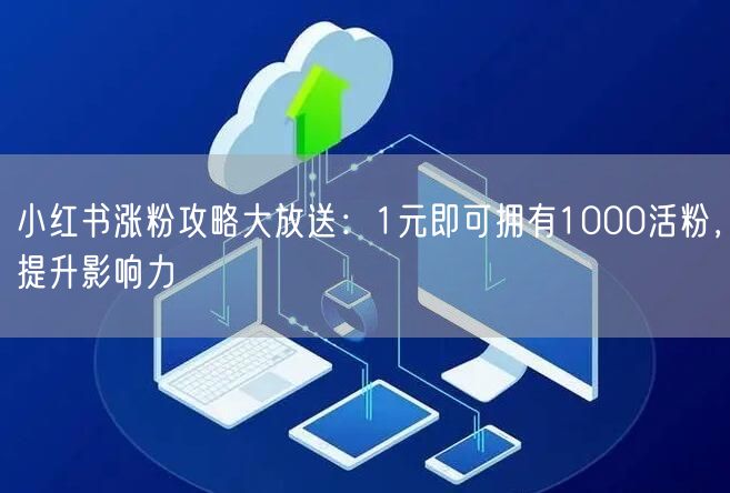 小红书涨粉攻略大放送：1元即可拥有1000活粉，提升影响力