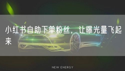 小红书自助下单粉丝，让曝光量飞起来