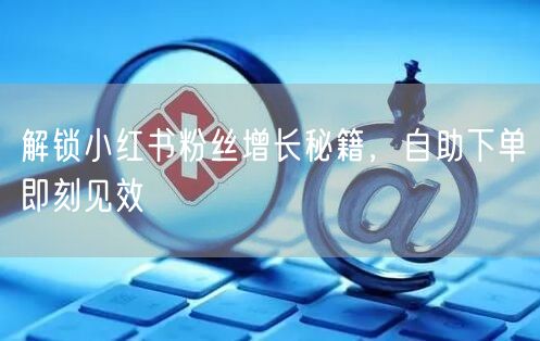 解锁小红书粉丝增长秘籍，自助下单即刻见效