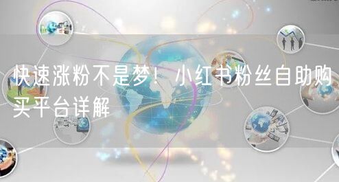 快速涨粉不是梦！小红书粉丝自助购买平台详解