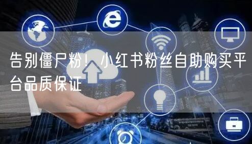 告别僵尸粉！小红书粉丝自助购买平台品质保证