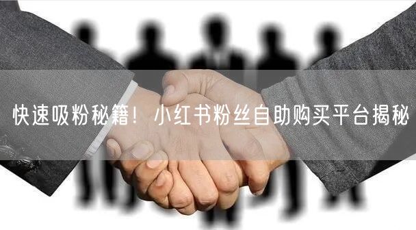 快速吸粉秘籍！小红书粉丝自助购买平台揭秘
