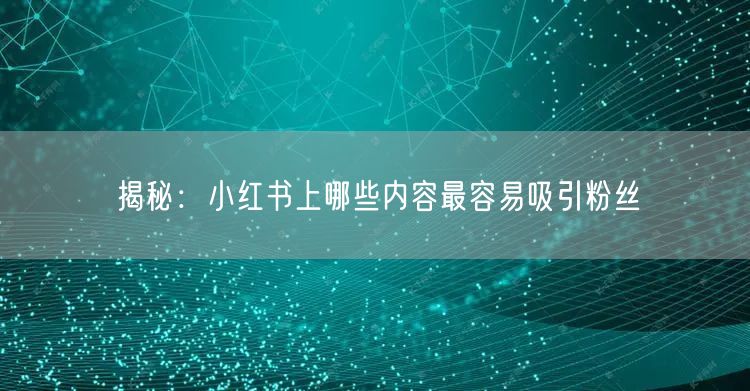 揭秘：小红书上哪些内容最容易吸引粉丝