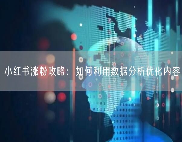 小红书涨粉攻略：如何利用数据分析优化内容