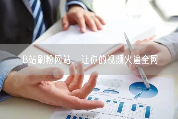B站刷粉网站，让你的视频火遍全网