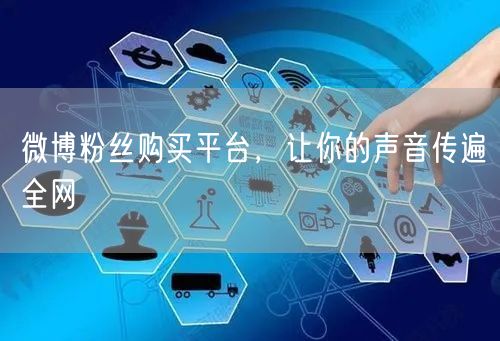 微博粉丝购买平台，让你的声音传遍全网